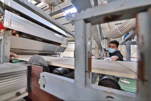 助力碳減排，我市首批8家建材企業獲評星級認證